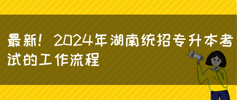 最新！2024年湖南统招专升本考试的工作流程