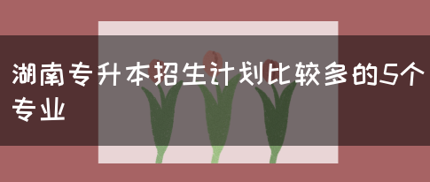 湖南专升本招生计划比较多的5个专业(图1)