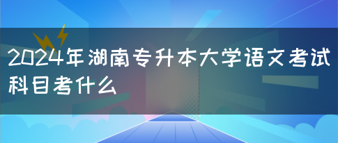 2024年湖南专升本大学语文考试科目考什么