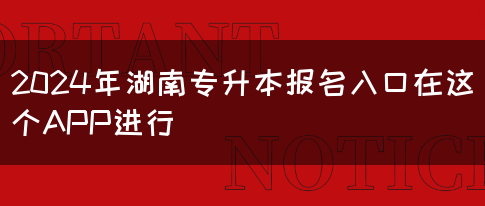 2024年湖南专升本报名入口在这个APP进行