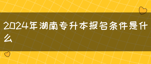 2024年湖南专升本报名条件是什么