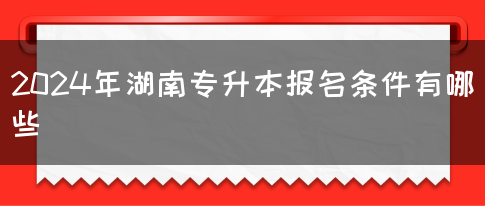 2024年湖南专升本报名条件有哪些