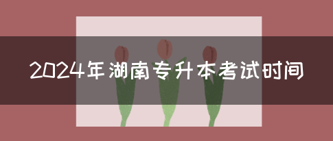 2024年湖南专升本考试时间