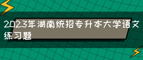 2023年湖南统招专升本大学语文练习题