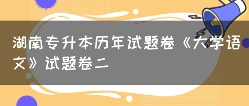 湖南专升本历年试题卷《大学语文》试题卷二