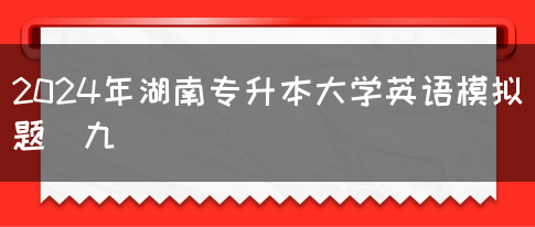 2024年湖南专升本大学英语模拟题（九）