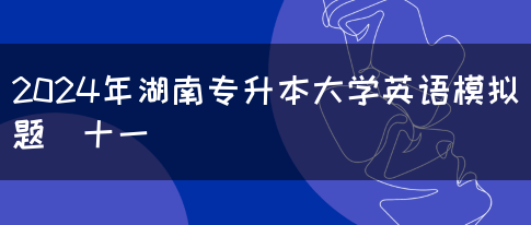 2024年湖南专升本大学英语模拟题（十一）