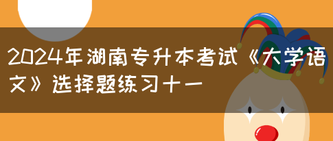 2024年湖南专升本考试《大学语文》选择题练习十一