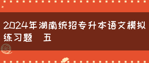 2024年湖南统招专升本语文模拟练习题（五）