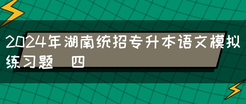 2024年湖南统招专升本语文模拟练习题（四）(图1)