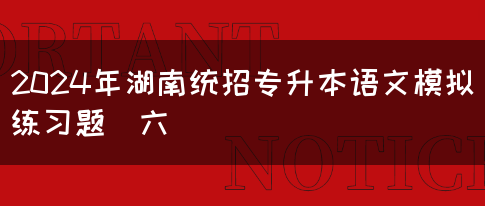 2024年湖南统招专升本语文模拟练习题（六）