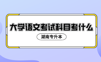 2024年湖南专升本大学语文考试科目考什么